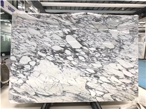 white marble floor dolomite slab arabescato wall tile